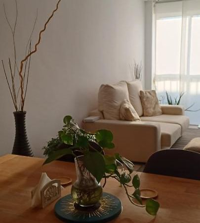 Apartamento Entero De Tres Habitaciones, Cerca De La Playa! Acogedor, Luminoso Y Tranquilo Malgrat de Mar Kültér fotó